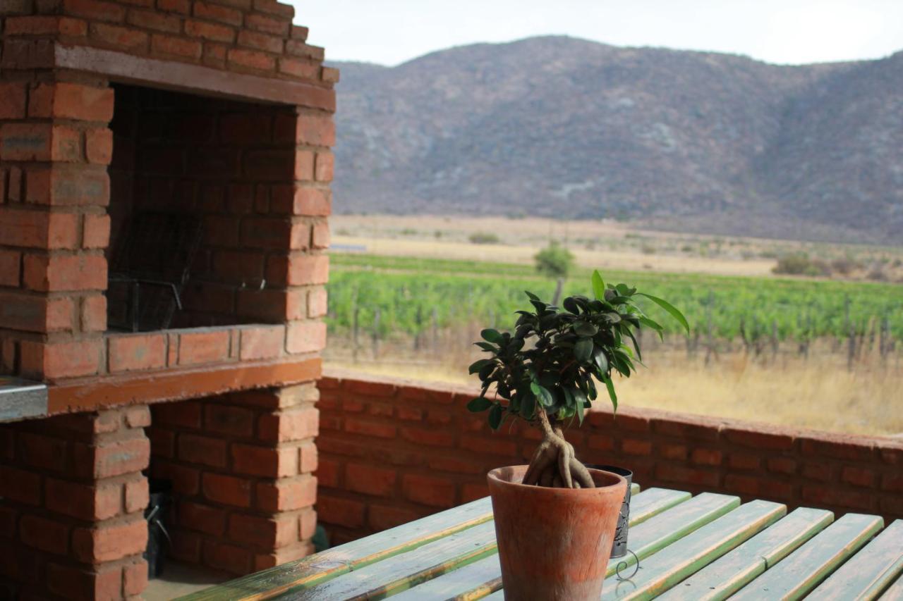 Otavi Vineyards Self-Catering & Camping Bagian luar foto